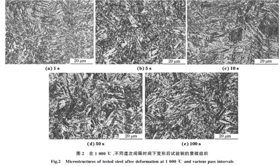 图２ 在１０００ ℃、不同道次间隔时间下变形后试验钢的显微组织