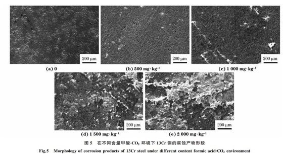 图5 在不同含量甲酸GCO2 环境下13Cr钢的腐蚀产物形貌 图5 在不同含量甲酸GCO2 环境下13Cr钢的腐蚀产物形貌