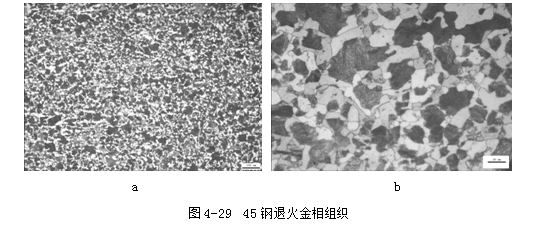 45钢退火金相组织