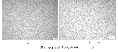 T10钢退火金相组织