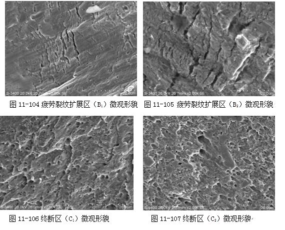 图11-106终断区（C1）微观形貌 图11-107终断区（C2）微观形貌