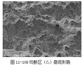 图11-108终断区（C3）微观形貌