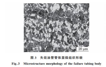 图３ 失效油管管体显微组织形貌