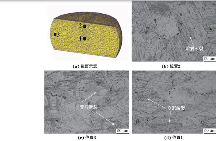 在９８０ ℃、应变速率为０．０１０s－１下压缩至应变量为３０％后