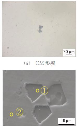 (b) SEM 形貌 (b) SEM 形貌