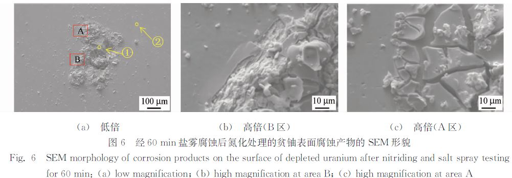 图６ 经６０ｍｉｎ盐雾腐蚀后氮化处理的贫铀表面腐蚀产物的ＳＥＭ 形貌