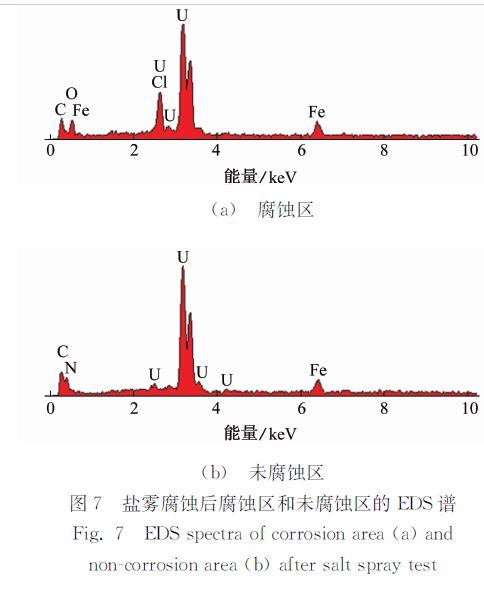 图７ 盐雾腐蚀后腐蚀区和未腐蚀区的ＥＤＳ谱