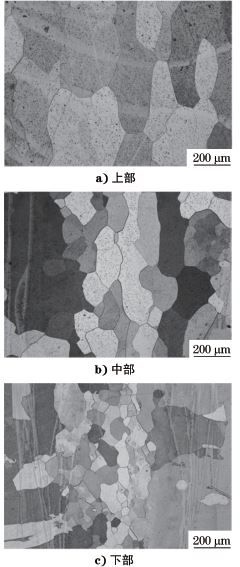 图３ 接头不同部位焊缝显微组织形貌