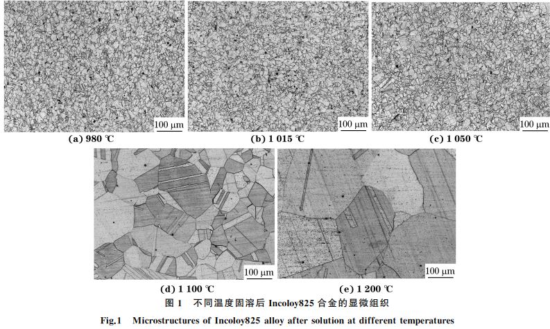 图1 不同温度固溶后Incoloy825合金的显微组织 图1 不同温度固溶后Incoloy825合金的显微组织