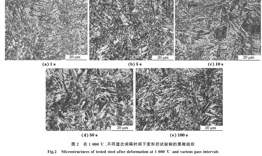 图２ 在１０００ ℃、不同道次间隔时间下变形后试验钢的显微组织