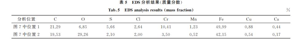 表５ EDS分析结果(质量分数)