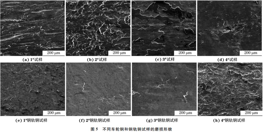 图５ 不同车轮钢和钢轨钢试样的磨损形貌