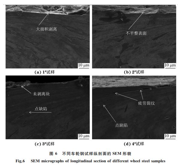 图 ６ 不同车轮钢试样纵剖面的SEM 形貌