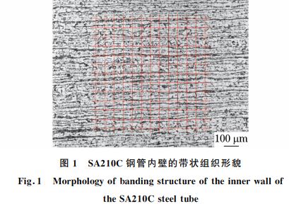 图１ SA２１０C钢管内壁的带状组织形貌