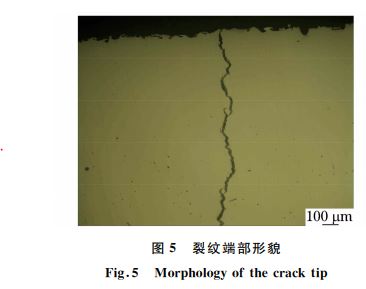 图５ 裂纹端部形貌