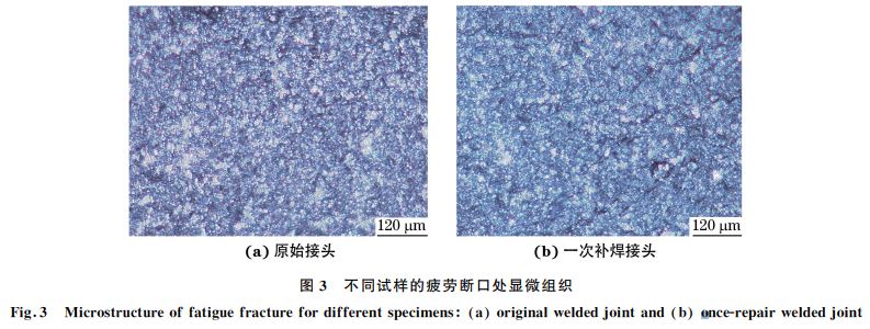 图３ 不同试样的疲劳断口处显微组织