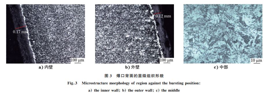 图３ 爆口背面的显微组织形貌
