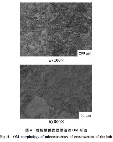 图４ 螺栓横截面显微组织 OM 形貌