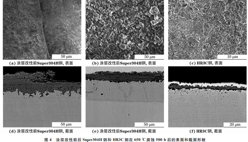 图4 涂层改性前后Super304H 钢和 HR3C钢在650 ℃腐蚀500h后的表面和截面形貌 图4 涂层改性前后Super304H 钢和 HR3C钢在650 ℃腐蚀500h后的表面和截面形貌