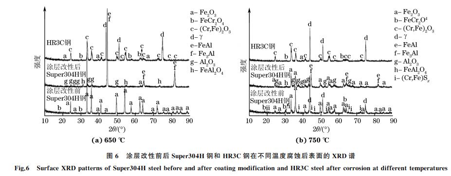 图６ 涂层改性前后Super３０４H 钢和 HR３C钢在不同温度腐蚀后表面的 XRD谱