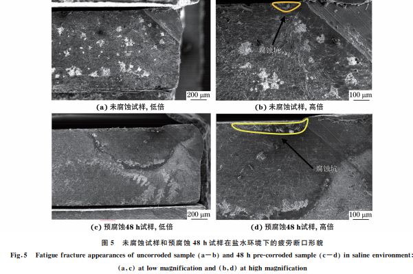 图5 未腐蚀试样和预腐蚀48h试样在盐水环境下的疲劳断口形貌 图5 未腐蚀试样和预腐蚀48h试样在盐水环境下的疲劳断口形貌