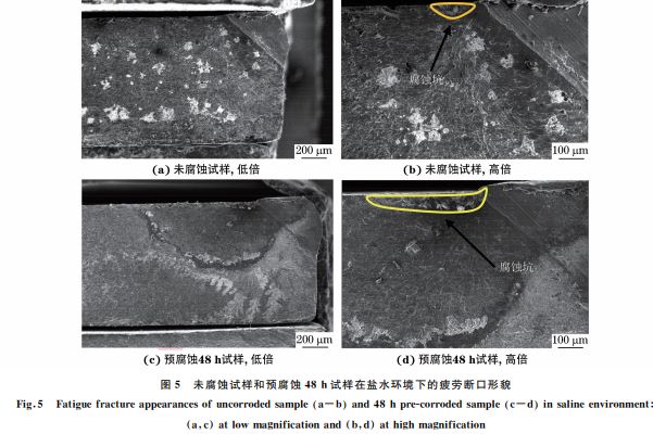 图５ 未腐蚀试样和预腐蚀４８h试样在盐水环境下的疲劳断口形貌