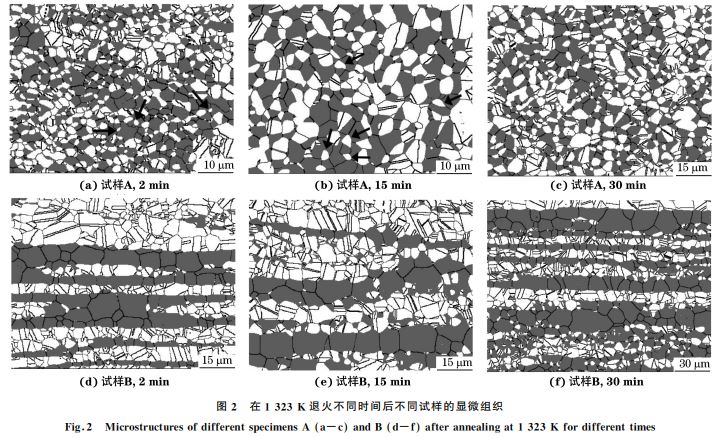 图２ 在１３２３K 退火不同时间后不同试样的显微组织