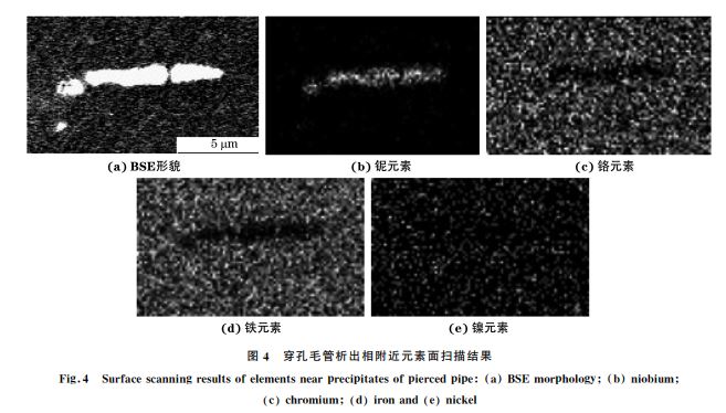 图4 穿孔毛管析出相附近元素面扫描结果