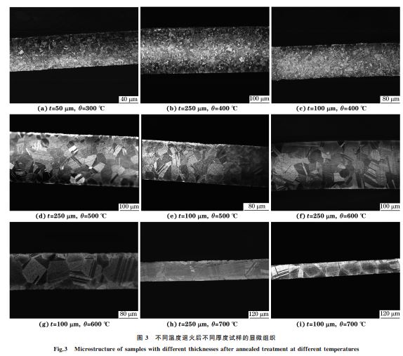 图３ 不同温度退火后不同厚度试样的显微组织