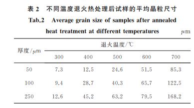表２ 不同温度退火热处理后试样的平均晶粒尺寸