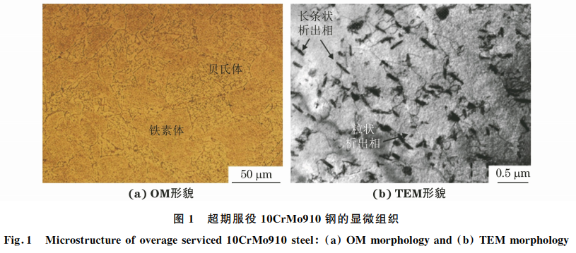 电站中超期服役10CrMo910钢的高温蠕变行为图1