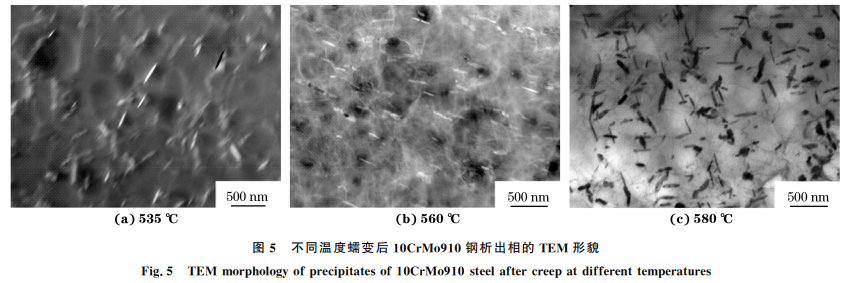 电站中超期服役10CrMo910钢的高温蠕变行为图5